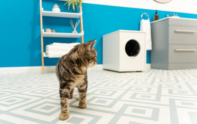 Ikea Hackers - A top entry cat litter box that prevents litter escaping,  makes the cat to walk over a mat to prevent tracking and has a hinged door  to reduce smell.