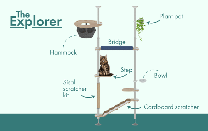 Kit de démarrage Explorer de l’arbre à chat Freestyle