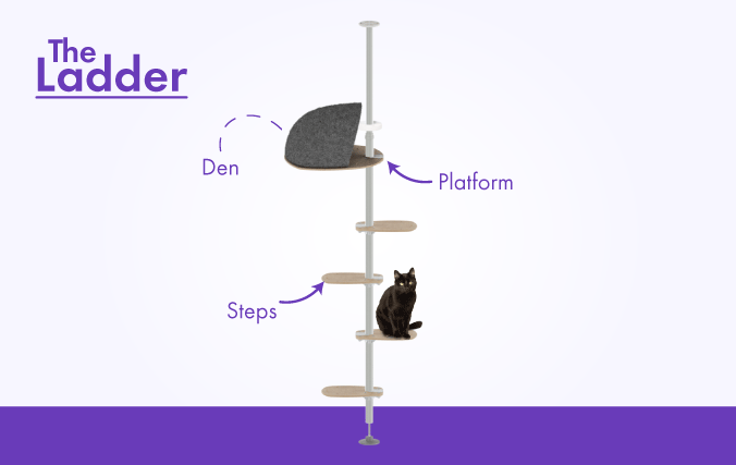 Kit de démarrage Ladder de l’arbre à chat Freestyle