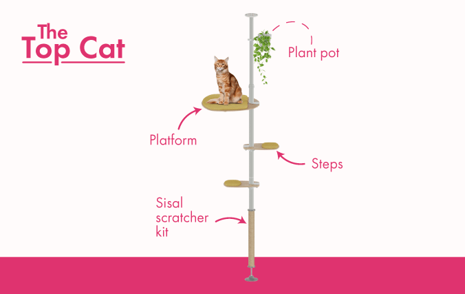 Kit de démarrage Top Cat de l’arbre à chat Freestyle