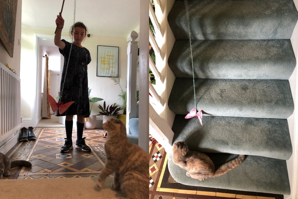 girl and her cat playing with a DIY cat toy