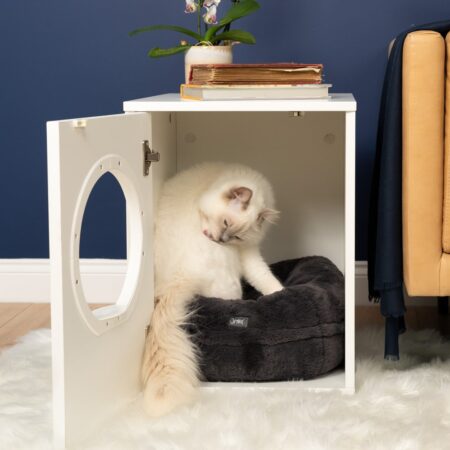 Een witte ragdoll kat in zijn Maya indoor kattenhuis