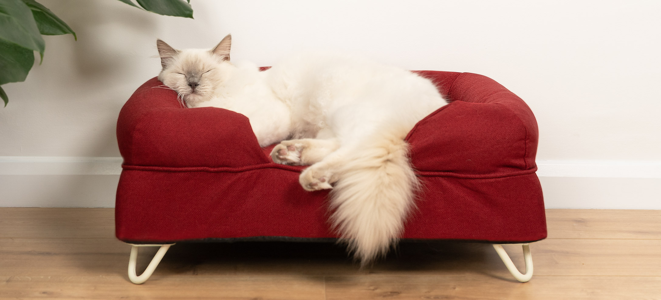 Red bolster cat bed gift guide