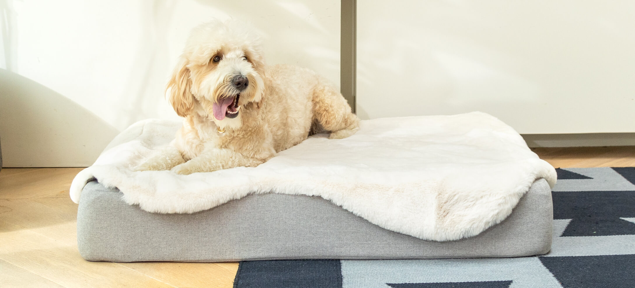 Topology dog bed gift guide