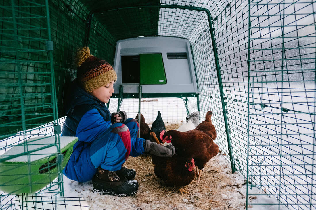 A boy sitting in an Eglu chicken enclosure in the snow