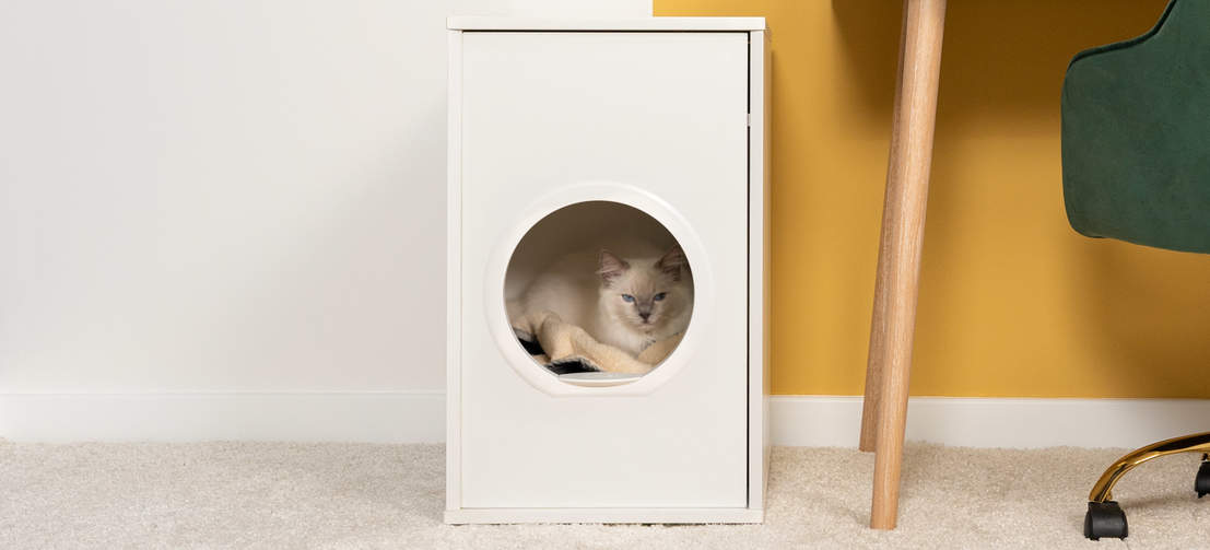Kat verstopt in het stijlvol design kattenmeubel, het Maya kattenhuis