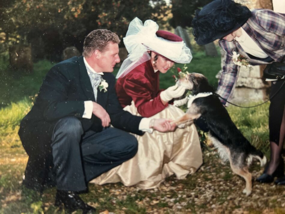 couple stroking their terrier at their wedding day