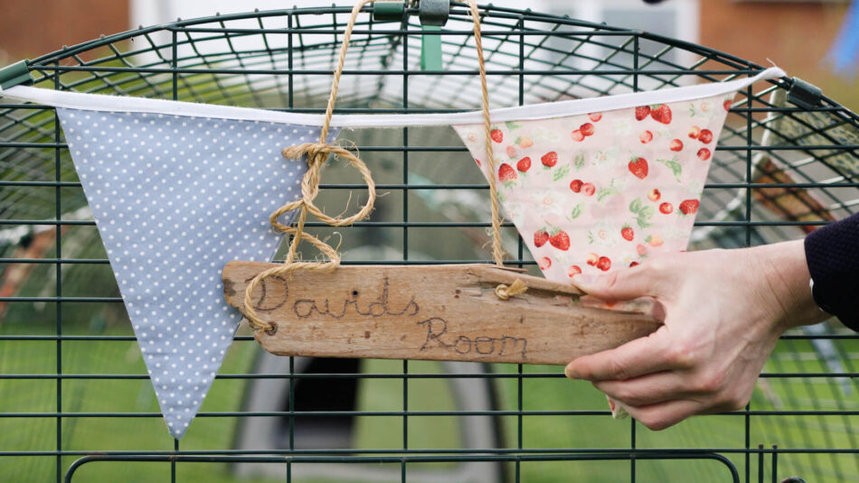 eglu run with bunting and a wooden sign
