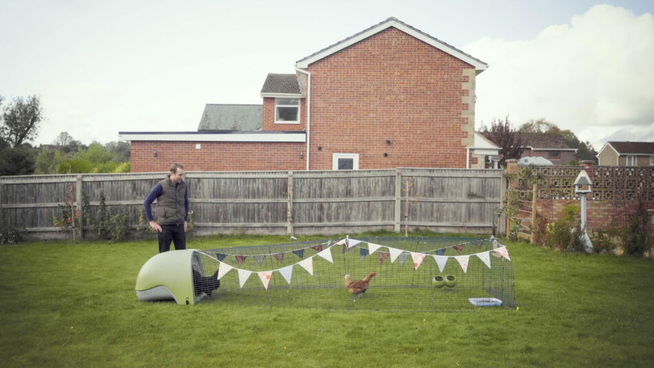 man looking at chickens in eglu coop with bunting