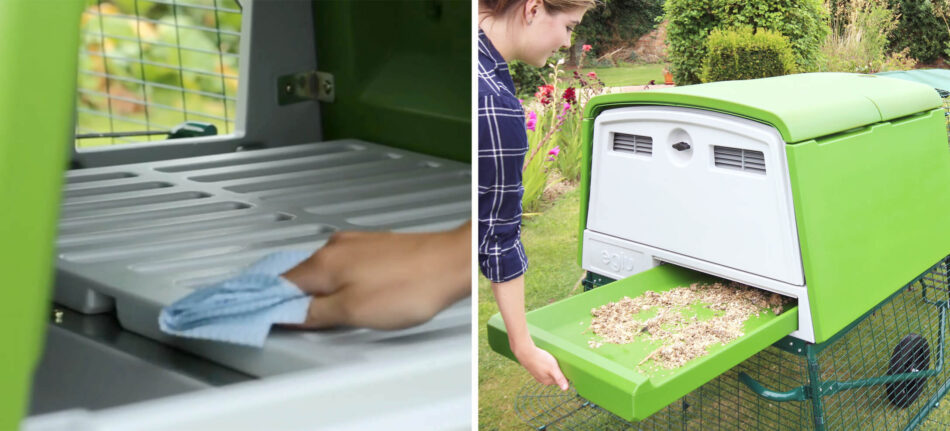 eglu cube easy to clean chicken coop