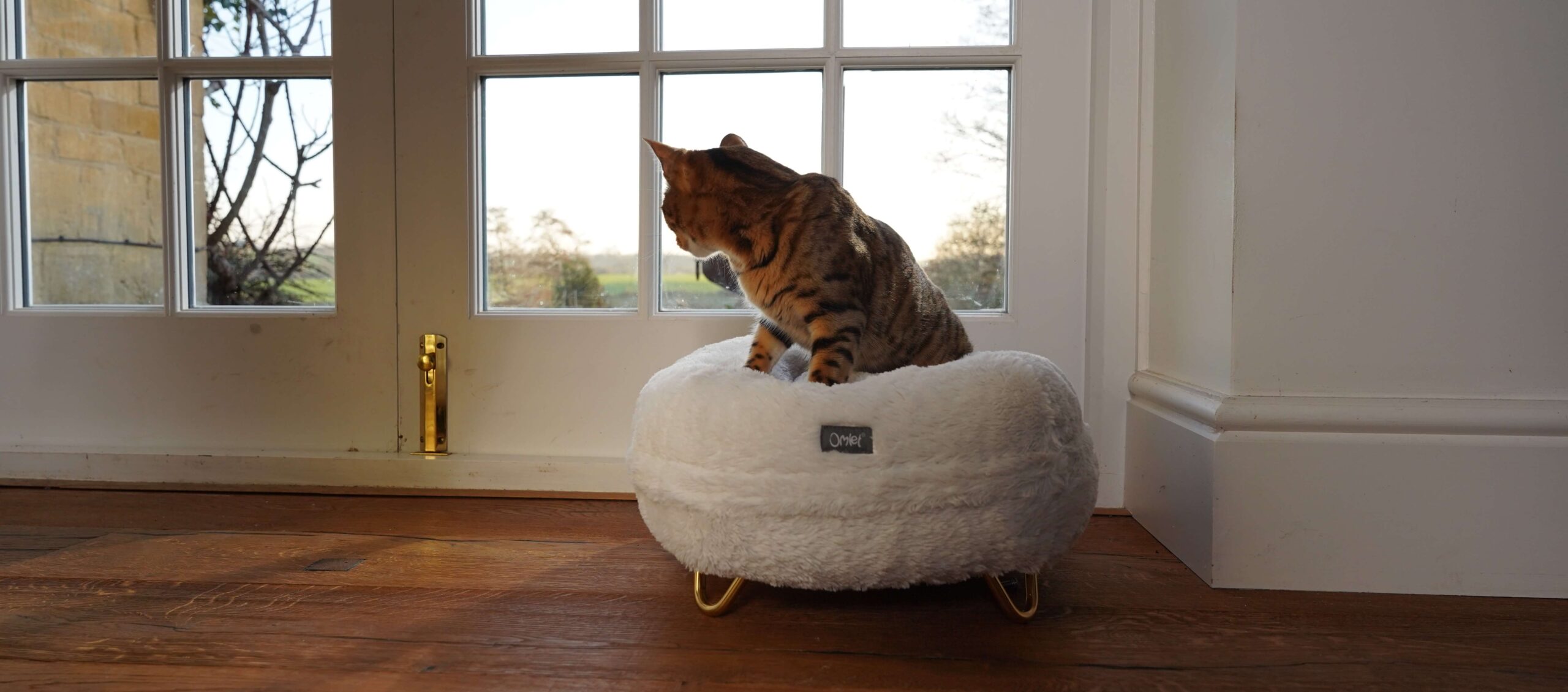 Kat zit op een witte maya donut kattenmand en kijkt door het raam naar buiten