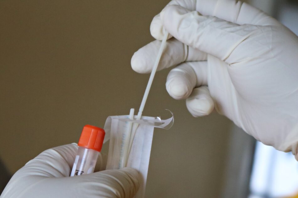 DNA swab sample being tested