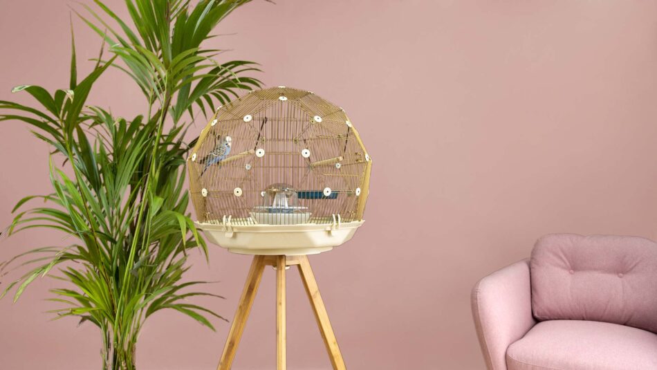 Omlet Geo Bird Cage, pink background