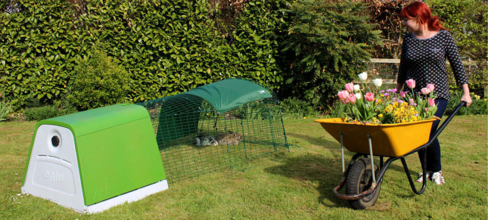 Woman pushing flowers in a wheelbarrow interacting with rabbits in Eglu Go Rabbit Hutch