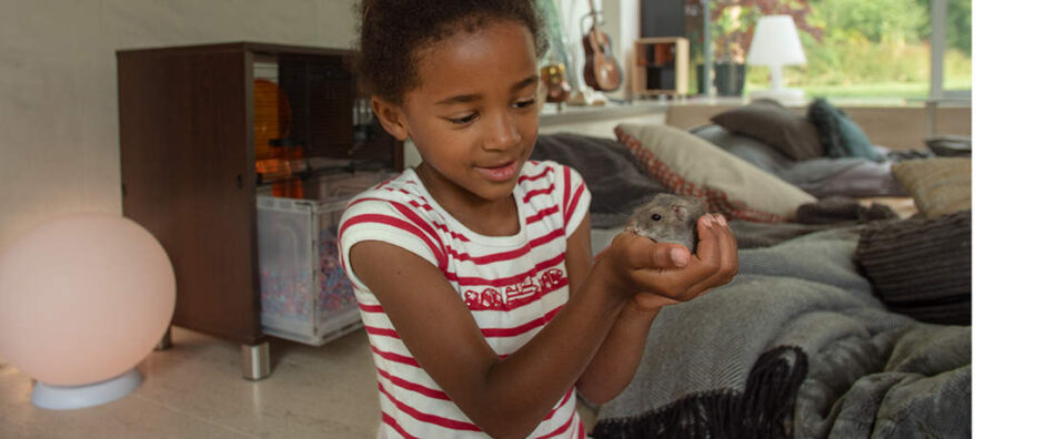 en lille pige holder en grå hamster i sine hænder foran et qute hamsterbur i stuen