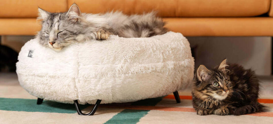 Weißes Maya Donut Katzenbett mit schwarzen Haarnadel-Füßen, super komfortables Nest von Omlet 