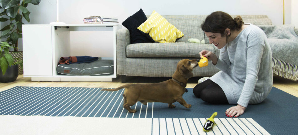 Dachshund and owner playing indoors with an Omlet Fido Nook 2 in 1 Luxury Dog Bed And Crate behind them