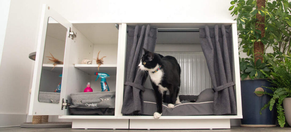 Eine schwarze Katze in ihrem luxuriösen Maya Nook Katzenhaus mit Vorhang und Garderobe