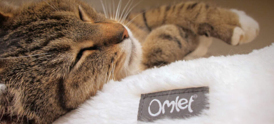 Eine Katze schläft auf dem luxuriösen, superweichen, weißen Donut Katzenbett