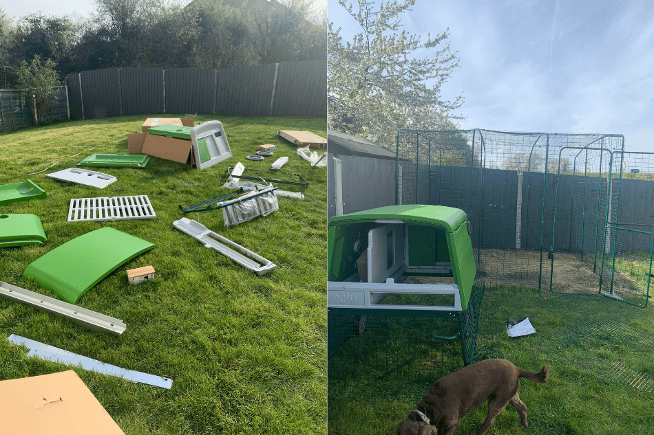 eglu cube chicken coop with walk in chicken run in the garden