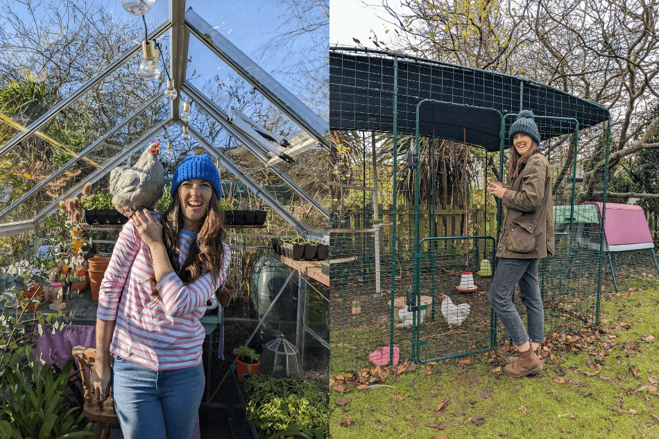 tenere delle galline come giardinieri