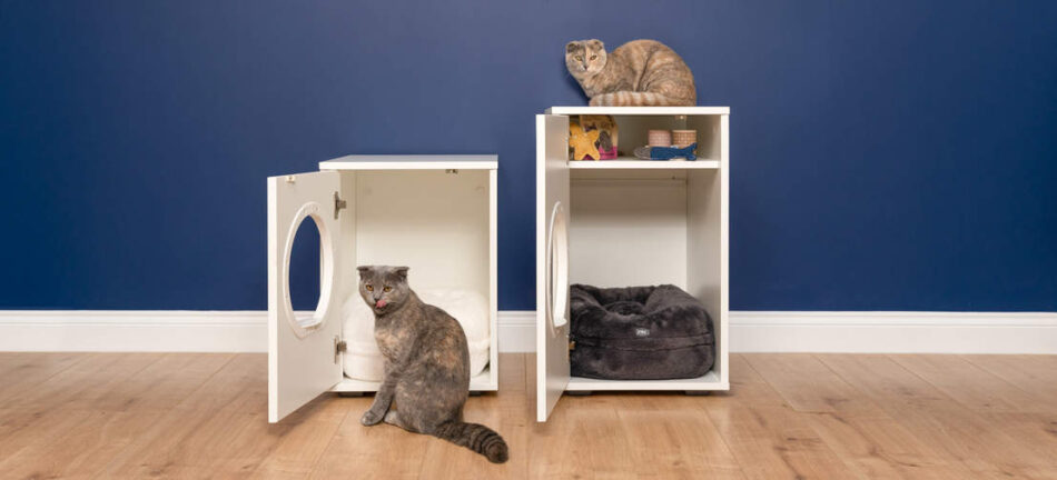 Das stilvolle und gemütliche Maya Katzenhaus mit einem praktischen Ablagefach und einem Donut Katzenbett