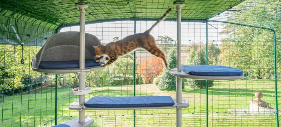Kat springt op Omlet Freestyle Outdoor kattenpaal