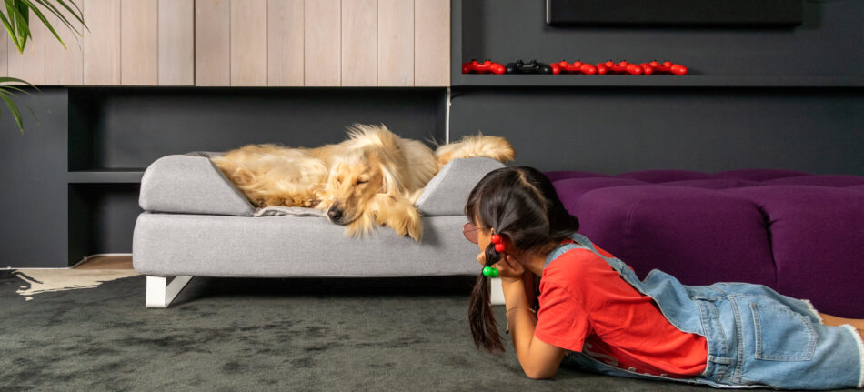 Girl watching dog sleeping on Omlet Topology Dog Bed