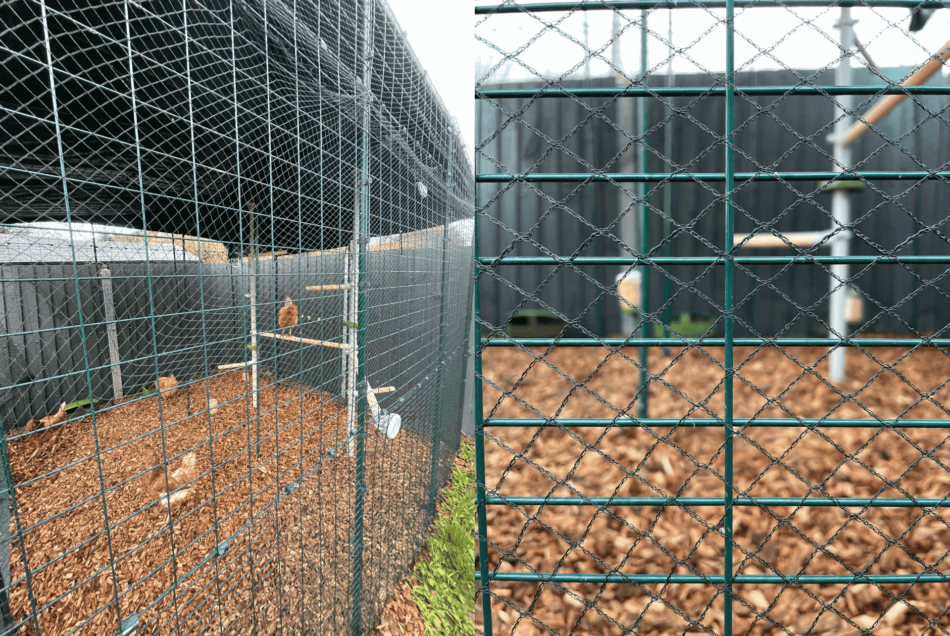Close up of mesh on Omlet Walk in Chicken Run during flockdown