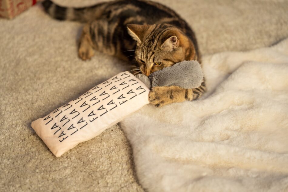 Kat spelend met kerstspeeltje op tapijt