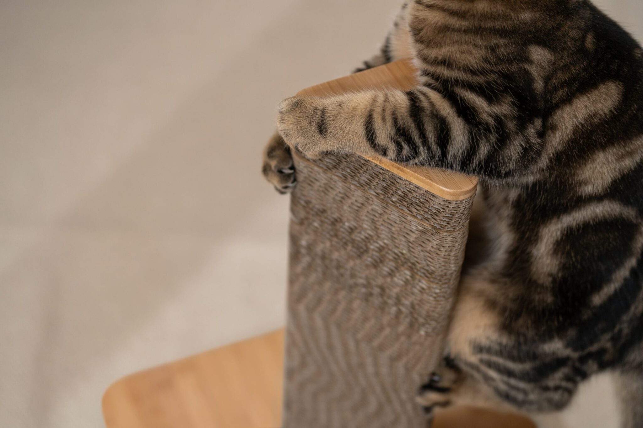 How to stop cats from scratching furniture Omlet Blog UK