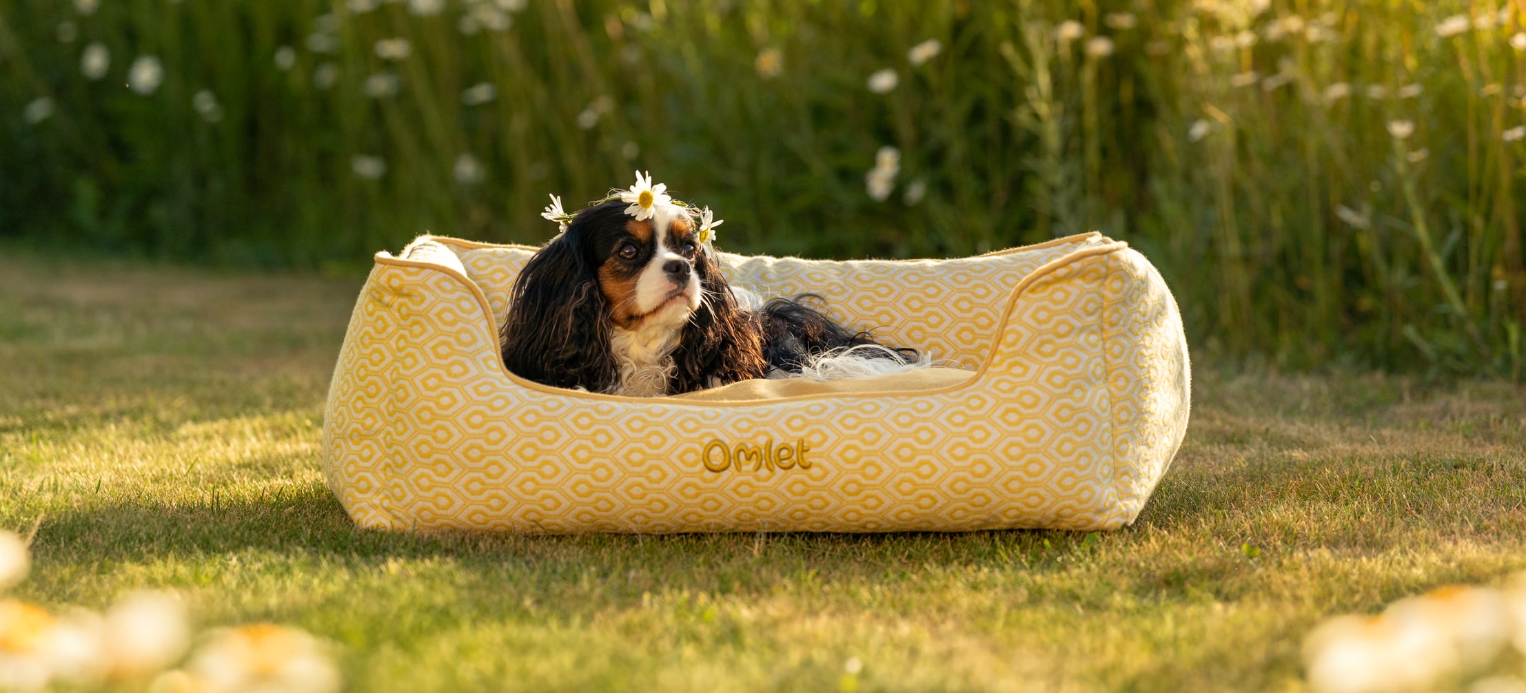 Cavalier King Charles spaniel outside on the Omlet Nest dog bed in Honeycomb Pollen