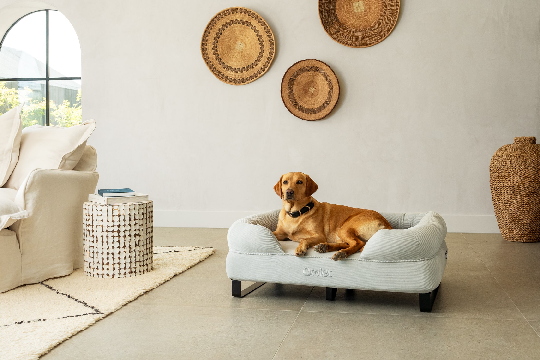 Best dog beds to suit your autumn decor Omlet Blog UK