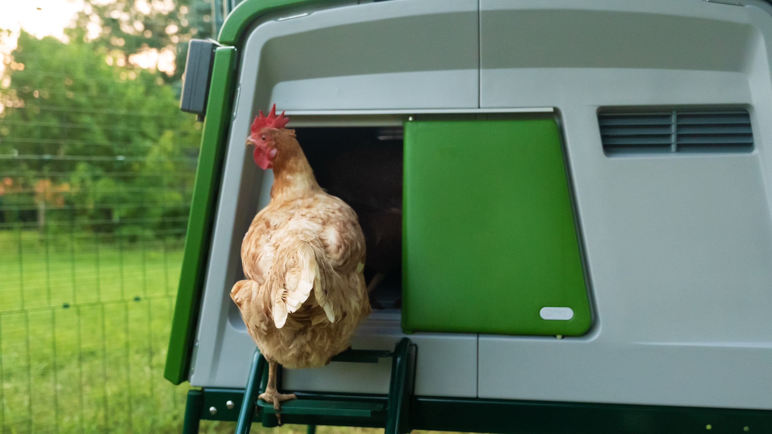 Chicken coop door ideas Omlet Blog UK