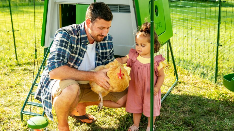 Become an Omlet Affiliate and earn commission - Man holding a chicken next to girl in the Omlet Walk In Chicken Run