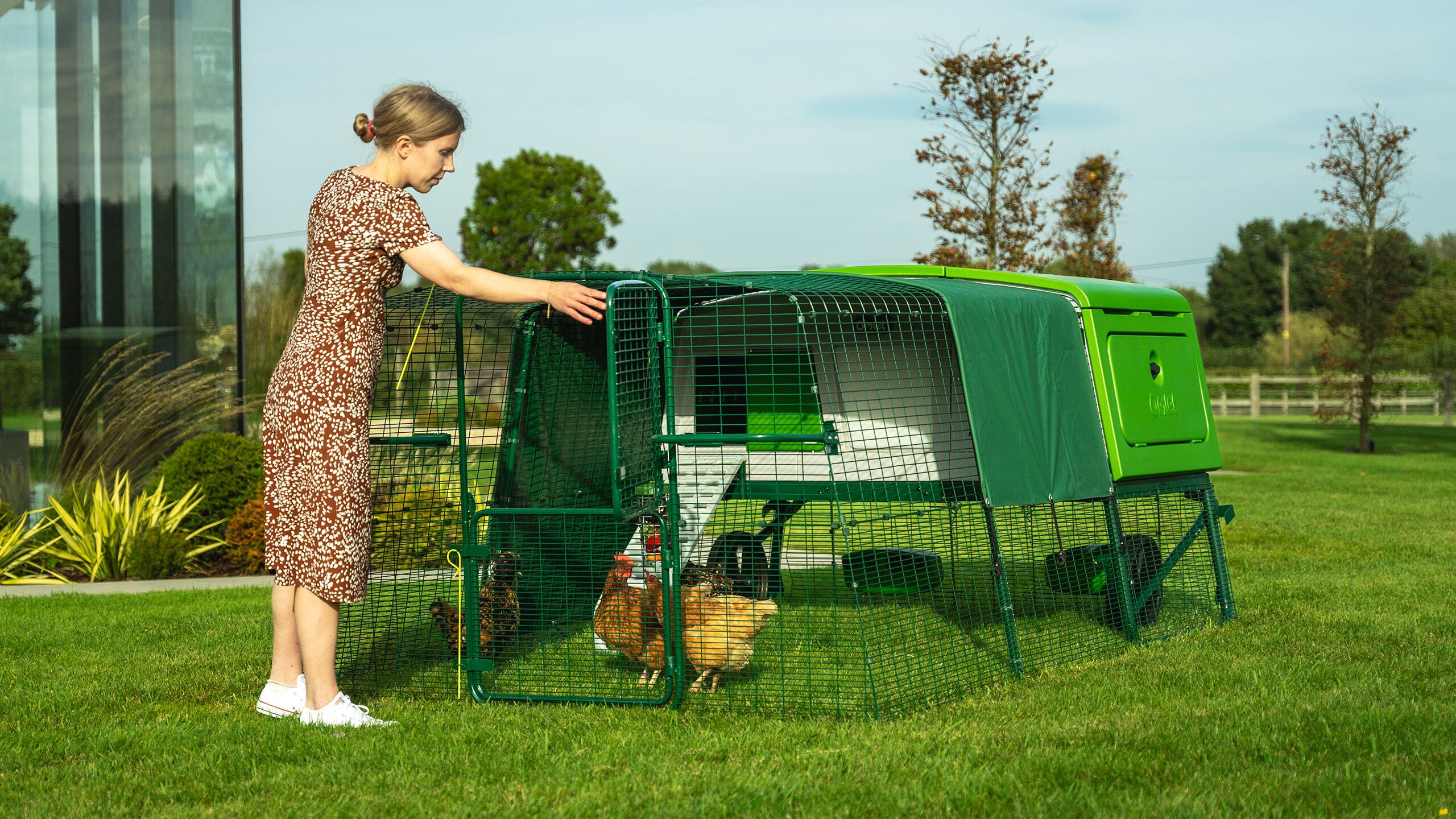 could-chicken-keeping-suit-my-lifestyle-omlet-blog-uk