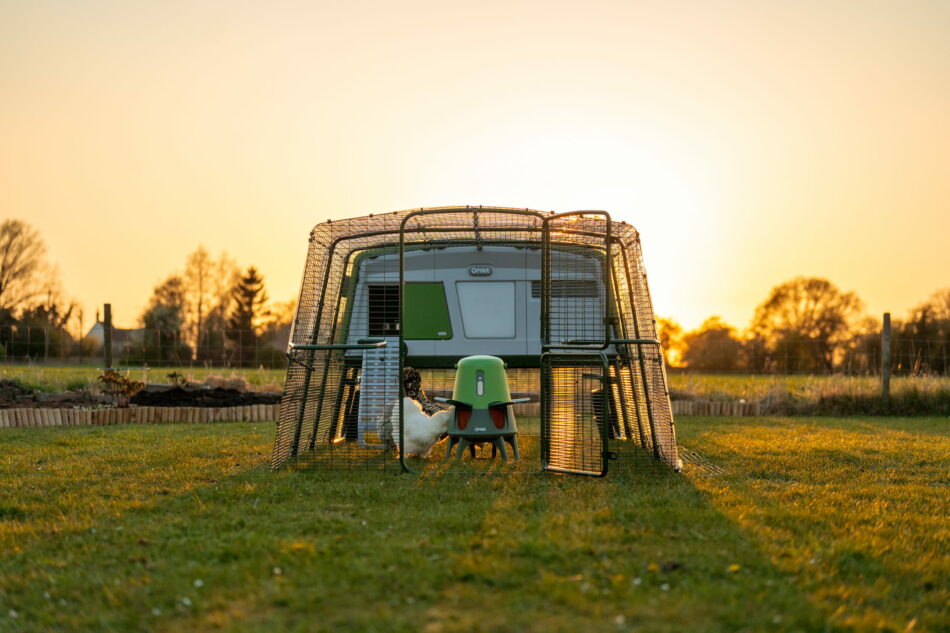 eglu pro chicken coop and omlet smart no waste feeder in sunrise