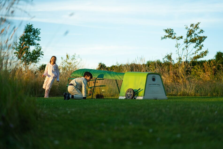 children looking into eglu go guinea pig hutch
