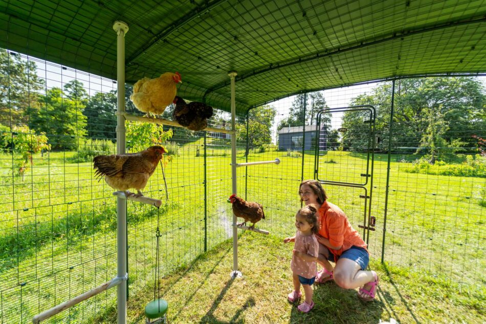 Ambassador-Madison-in-the-Walk-In-Run-with-her-daughter-and-chickens