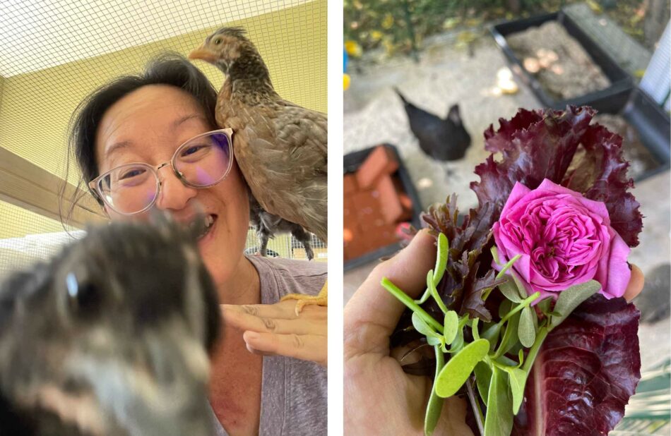 woman with chicken standing on her left hand with another chicken in the foreground and hand holding various flowers and plants with a chicken in the background