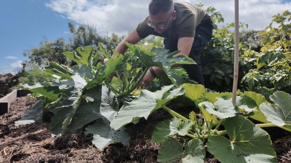 Jude working in his garden